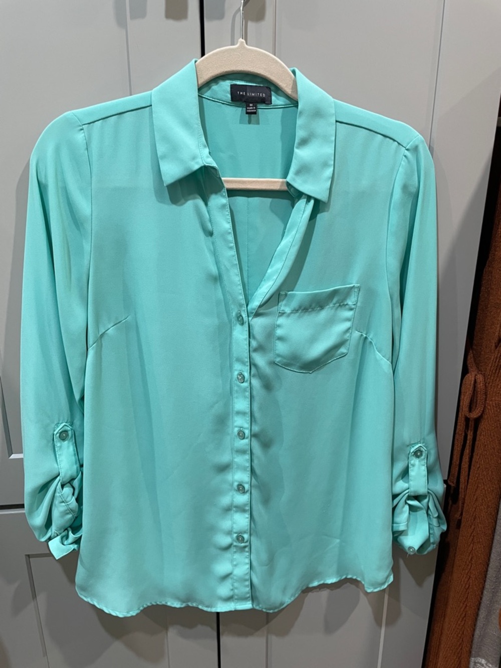 The Limited Women's Mint Green Button-Down Shirt